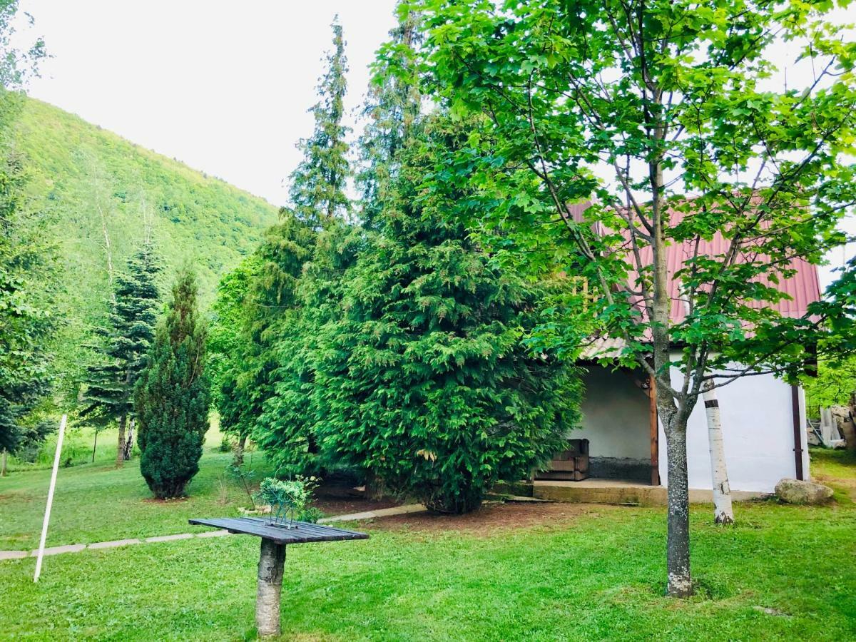 Villa Orka Pelister - Forest Zone Bitola Bagian luar foto