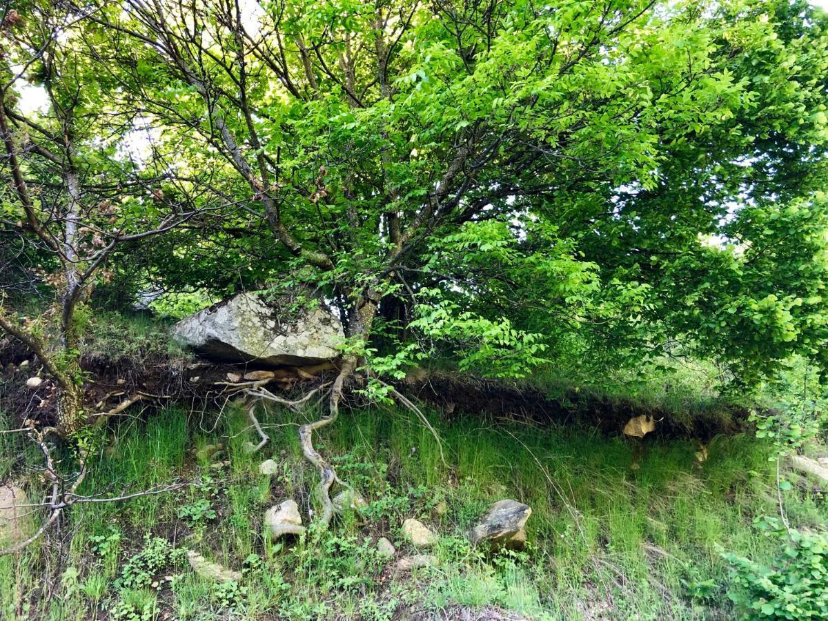 Villa Orka Pelister - Forest Zone Bitola Bagian luar foto